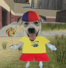 a happy dog